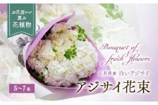 アジサイ（花束） 5～7本 あじさい 紫陽花 山形県 新庄市 F3S-0287