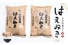 米食味鑑定士厳選 新庄産 はえぬき 8kg（4kg×2袋） 米 お米 おこめ 山形県 新庄市 F3S-0309