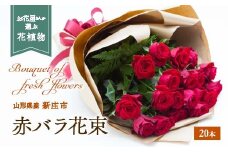赤バラ 花束 20本 F3S-0746