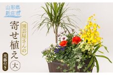 園芸屋さんの寄せ植え大 F3S-0591