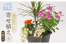 園芸屋さんの寄せ植え小  山形県 新庄市 F3S-0292