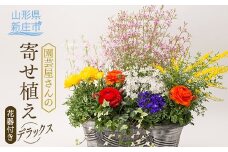 園芸屋さんの寄せ植えデラックス F3S-0808