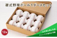 硬式野球ボール1ダースセット 山形県 新庄市 F3S-0594
