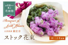 ストック（花束） 10～12本程度 F3S-0410