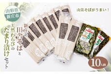 新庄の田舎そば10人前・天然わらびのたまり漬けセット 乾麺 蕎麦 山菜 ざるそば ソバ 乾めん 麺類 年越し 小分け わらび 蕨 野菜 東北 F3S-1587