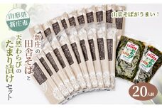 新庄の田舎そば20人前・天然わらびのたまり漬けセット 乾麺 蕎麦 山菜 ざるそば ソバ 乾めん 麺類 年越し 小分け わらび 蕨 野菜 東北 F3S-1586