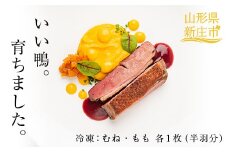『満天☆青空レストランでご紹介!』もがみの地で育った最上級の鴨 最上鴨 半羽 約500g (むね・もも 各1枚) かも カモ 鴨 鴨肉 鴨鍋 鴨南蛮 鴨焼き ジビエ 山形県 新庄市 F3S-1411