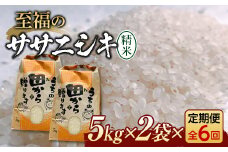 定期便 【先行予約】令和6年産 至福のササニシキ（精米）10kg（5kg×2）×6回 米 お米 おこめ 山形県 新庄市 F3S-2157