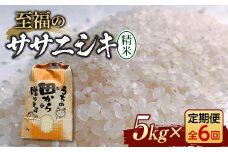 定期便 【先行予約】令和6年産 至福のササニシキ（精米）5kg×6回 米 お米 おこめ 山形県 新庄市 F3S-2153