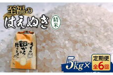 定期便 全6回 令和6年産 至福のはえぬき（精米）5kg 米 お米 おこめ 山形県 新庄市 F3S-2050