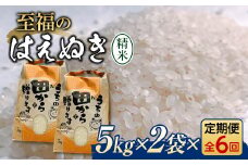 定期便 全6回 令和6年産 至福のはえぬき 10kg（5kg×2） 米 お米 おこめ 山形県 新庄市 F3S-2054