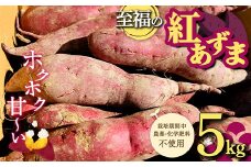 栽培期間中、農薬・化学肥料不使用 ホクホク甘～い『至福の紅あずま』サイズ 中～大混合 5kg さつまいも サツマイモ 山形県 新庄市 F3S-1937