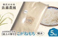 特別栽培米【最上の輝き】こがねもち 精米 5kg 米 お米 おこめ 山形県 新庄市 F3S-1636