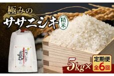 定期便 全6回 極みのササニシキ（精米）5kg×6回 米 お米 おこめ ふるさと納税 山形県 新庄市 F3S-2418