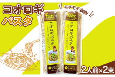 コオロギパスタ2人前×2束セット 麺 めん 山形県 新庄市 F3S-1671