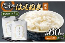 定期便 全6回 極みのはえぬき（精米）5kg×2 米 お米 おこめ 山形県 新庄市 F3S-2417