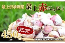 《2026年発送》 最上伝承野菜 【最上赤にんにく】 450g（バラ） にんにく ニンニク 薬味 ガーリック 野菜 F3S-2482
