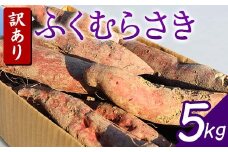 栽培期間中、農薬・化学肥料不使用 『訳あり ふくむらさき』5kg さつまいも サツマイモ 芋 F3S-1992