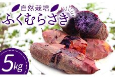 自然栽培 ふくむらさき 5kg 大～小混合 さつまいも サツマイモ 芋 F3S-1994