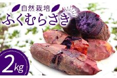 自然栽培 ふくむらさき 2kg 大～小混合 さつまいも サツマイモ 芋 F3S-1995