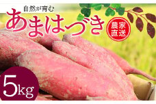 自然が育む『あまはづき』5kg さつまいも サツマイモ 芋 F3S-1997