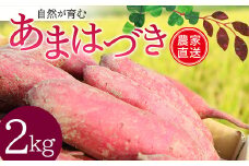 自然が育む『あまはづき』2kg さつまいも サツマイモ 芋 F3S-1998