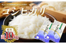 【数量限定】令和5年産 新庄産米 コシヒカリ 精米 10kg（5kg×2袋） お米 コメ F3S-2004