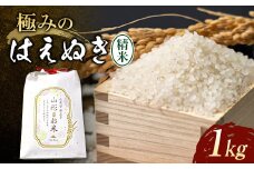 極みのはえぬき（精米）1kg 米 お米 おこめ 新米 ふるさと納税 山形県 新庄市 F3S-2088