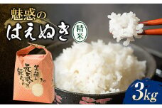 【先行予約】 令和7年産 魅惑のはえぬき3kg 米 お米 おこめ ふるさと納税 山形県 新庄市 F3S-2379