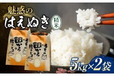令和6年 魅惑のはえぬき 10kg（5kg×2） 米 お米 おこめ 山形県 新庄市 F3S-2064