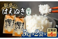 定期便 全6回 令和6年産 魅惑のはえぬき 10kg（5kg×2） 米 お米 おこめ 山形県 新庄市 F3S-2065