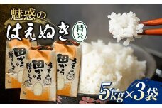 令和6年 魅惑のはえぬき 15kg（5kg×3） 米 お米 おこめ 山形県 新庄市 F3S-2067