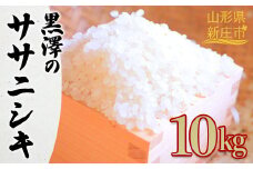 【先行予約】 令和6年産 黒澤のササニシキ 10kg 米 お米 おこめ 山形県 新庄市 F3S-2190