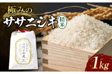 【令和6年産】 極みのササニシキ（精米）1kg 米 お米 おこめ 新米 ふるさと納税 山形県 新庄市 F3S-2202