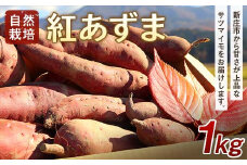 【先行予約】 自然栽培 紅あずま 1kg（3～5本） さつまいも サツマイモ 山形県 新庄市 F3S-2320