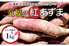 栽培期間中、農薬・化学肥料不使用 ホクホク甘～い『至福の紅あずま』1kg（3～5本） さつまいも サツマイモ 山形県 新庄市 F3S-2322