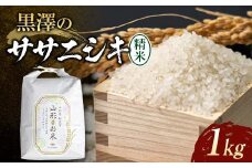 【先行予約】令和7年産米 黒澤のササニシキ（精米）1kg 米 お米 おこめ 山形県 新庄市 F3S-2375