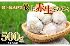 《2025年発送》 最上伝承野菜【最上赤生にんにく】 500g（玉・M、L、2Lサイズ混合） 生にんにく ニンニク 薬味 ガーリック 野菜 F3S-2327