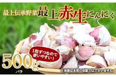 《2026年発送》 最上伝承野菜 【最上赤生にんにく】 500g（バラ） 生にんにく ニンニク 薬味 ガーリック 野菜 F3S-2481