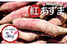 栽培期間中、農薬・化学肥料不使用 ホクホク『紅あずま』サイズ 大～小混合 5kg さつまいも サツマイモ 山形県 新庄市 F3S-2352