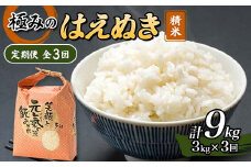 定期便 全3回 極みのはえぬき（精米）3kg 米 お米 おこめ ふるさと納税 山形県 新庄市 F3S-2390