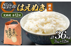 定期便 全12回 極みのはえぬき（精米）3kg 米 お米 おこめ ふるさと納税 山形県 新庄市 F3S-2392