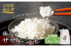 定期便 全3回 極みのササニシキ（精米）5kg 米 お米 おこめ ふるさと納税 山形県 新庄市 F3S-2428