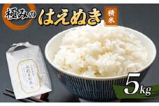 【先行予約】 令和7年産 極みのはえぬき5kg 米 お米 おこめ ふるさと納税 山形県 新庄市 F3S-2432