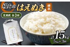 定期便 全3回 極みのはえぬき（精米）5kg 米 お米 おこめ ふるさと納税 山形県 新庄市 F3S-2427