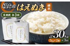 定期便 全3回 極みのはえぬき（精米）5kg×2 米 お米 おこめ ふるさと納税 山形県 新庄市 F3S-2426
