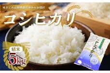 新庄産米 コシヒカリ 精米 5kg お米 コメ F3S-2404