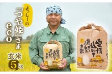 【先行予約】令和7年産 よっしーの「つや姫」さまeco (玄米）5kg 米 お米 おこめ 山形県 新庄市 F3S-2495