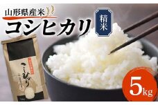 《先行予約》令和7年産 山形県産米 コシヒカリ 5kg こしひかり 精米 米 お米 おこめ 山形県 新庄市 F3S-2508
