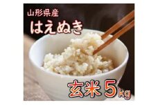 【令和7年産】 山形県産 はえぬき 玄米 5kg 米 コメ こめ F3S-2548